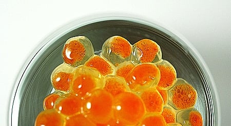 caviar close trout caviar
