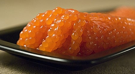 raw steelhead roe raw steelhead roe