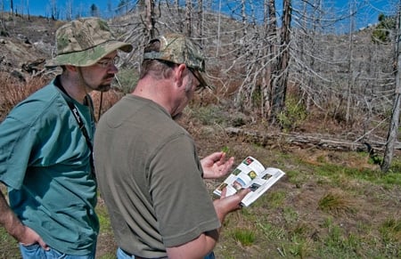 checking book