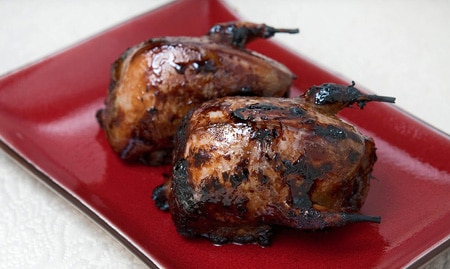 Grilled dove recipes