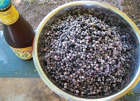 bowl of elderberries with beer bottle how to make elderberry syrup