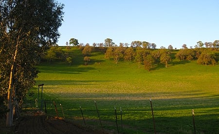 hillside of hunt
