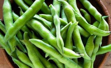 Fresh fava beans in the pod