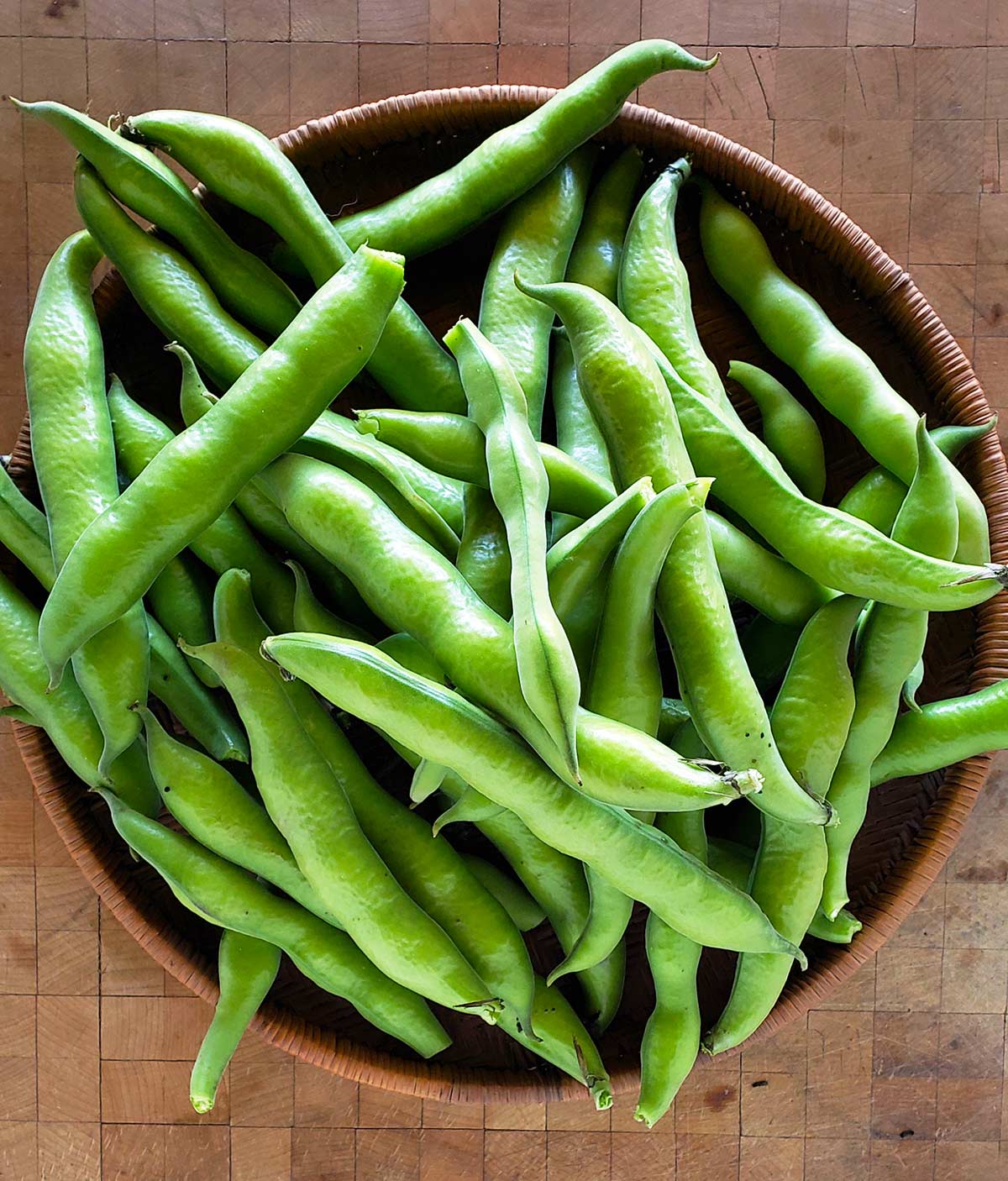 Fresh fava beans in the pod