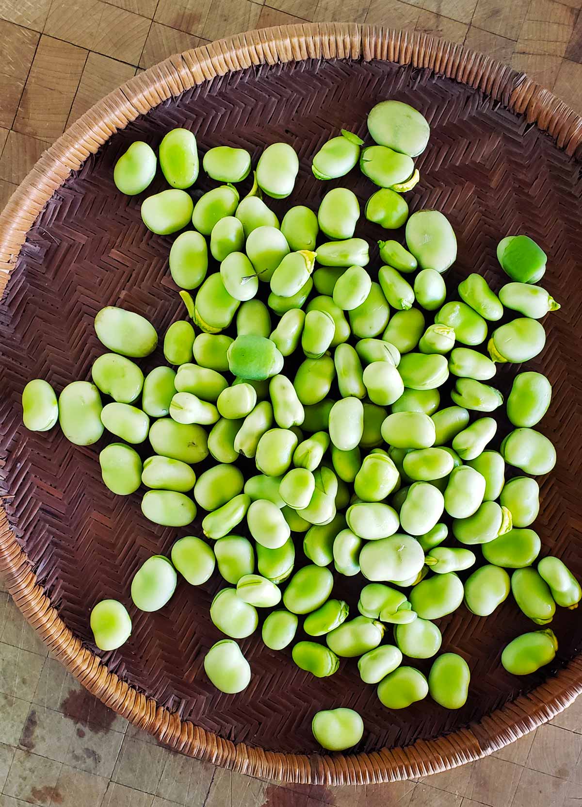 Fava beans out of the pod