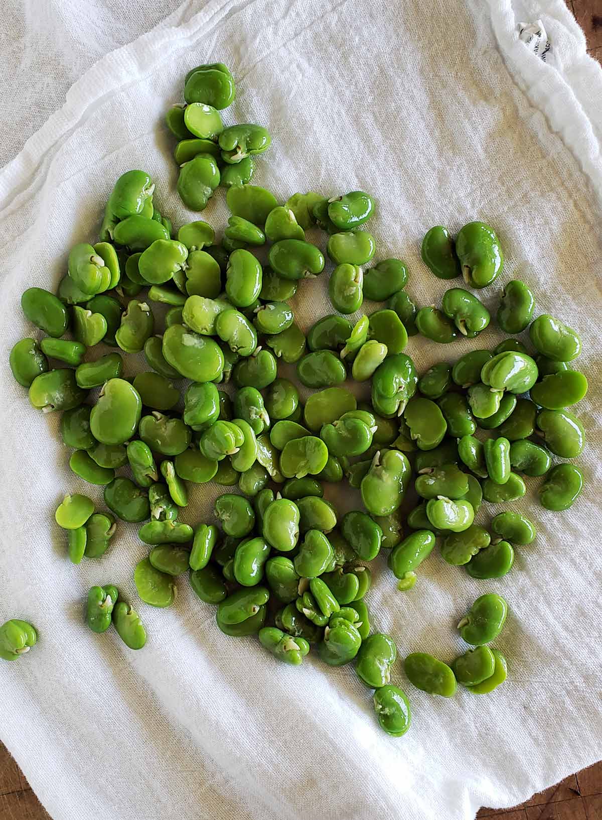 Fresh fava beans, ready to eat
