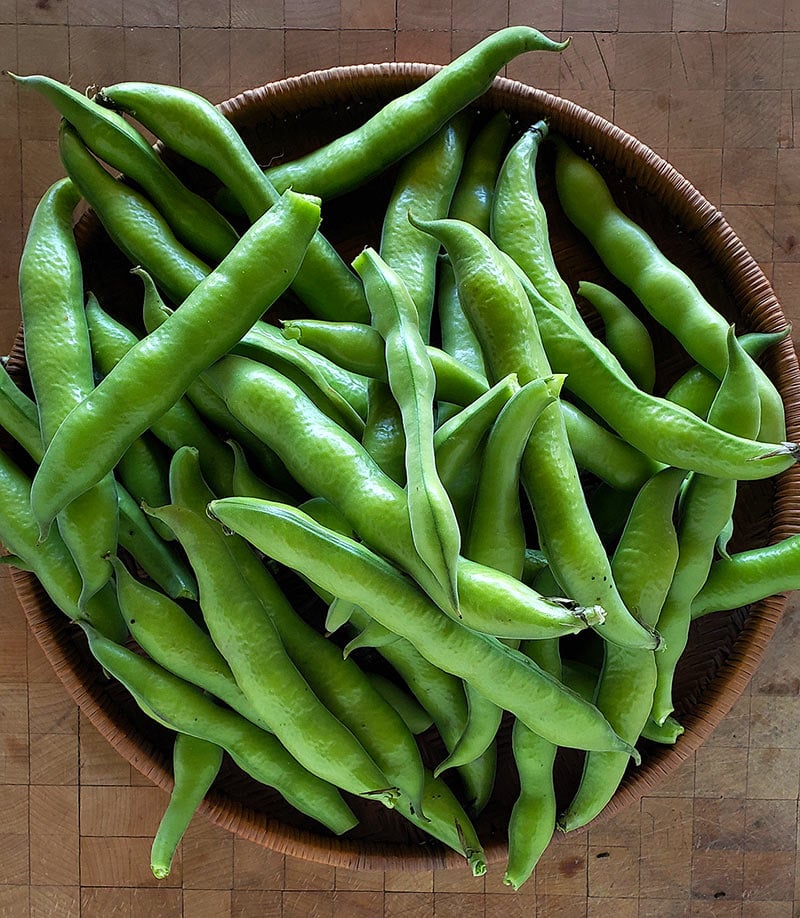 How To Cook Fresh Fava Beans Harvesting And Eating Fava Beans