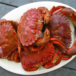 A plate of cooked crabs