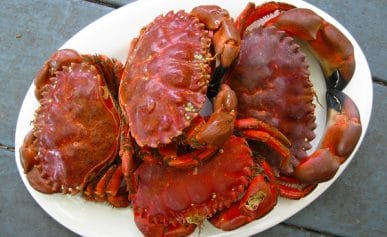 A plate of cooked crabs