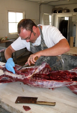 Hank Shaw butchering a deer. 