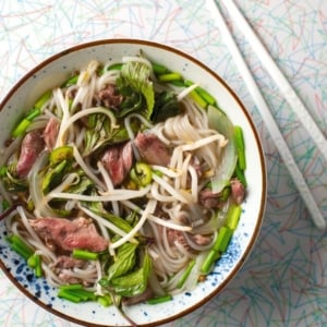 Duck Pho Recipe