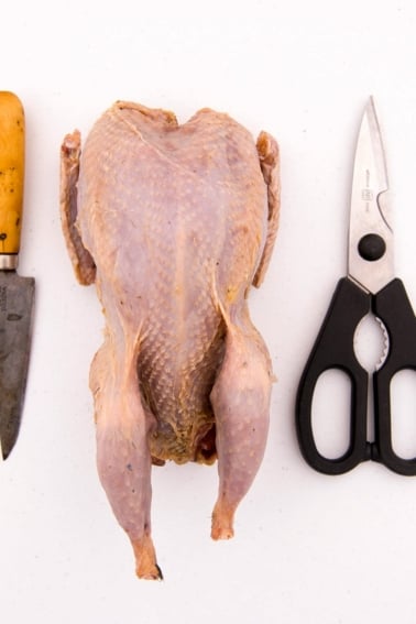A knife, shears and a whole grouse, ready for cutting.