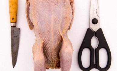 A knife, shears and a whole grouse, ready for cutting.