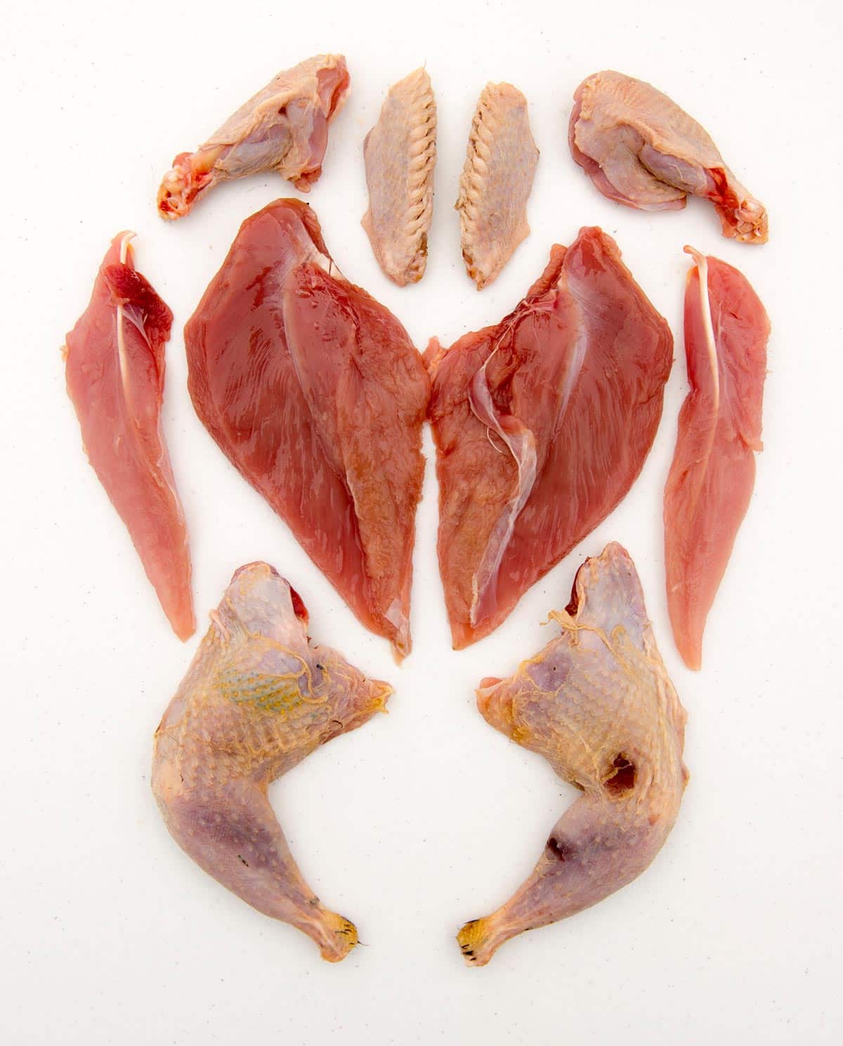 The end result of cutting a chicken into its parts, laid out on a table. 