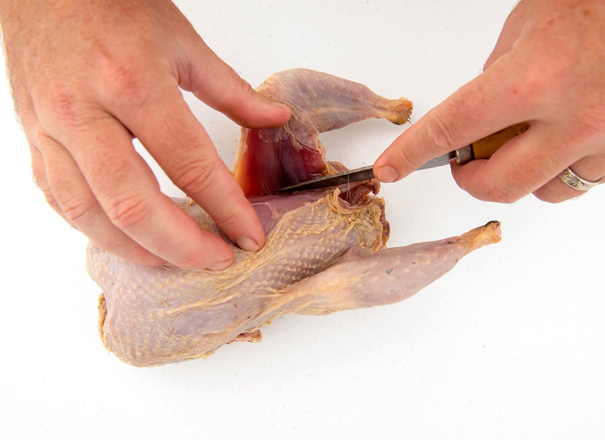 Starting cutting a whole chicken by removing the legs. 
