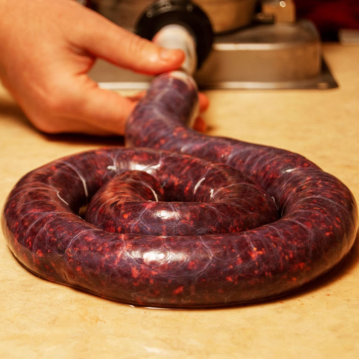 Stuffing blood sausage into casings. 