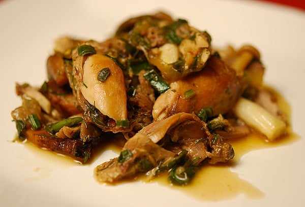 closeup of braised rabbit