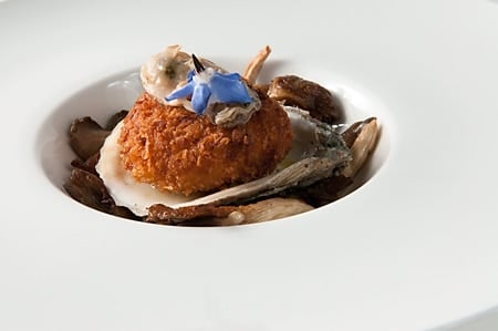 finished oyster mushrooms, salsify croquette, poached oyster recipe