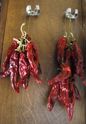 Paprika peppers drying