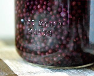 elderberry liqueur