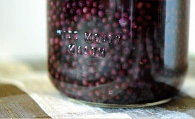 A close up of a bottle of elderberry liqueur