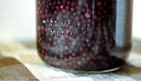 A close up of a bottle of elderberry liqueur