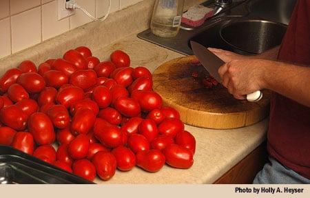 Chopping tomatoes.