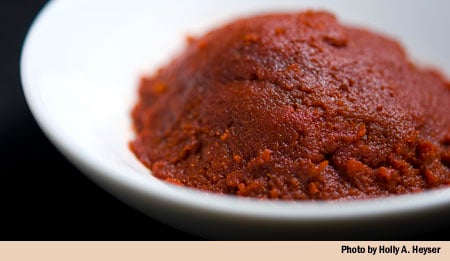 Homemade tomato paste on a plate. 