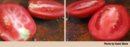 tomato comparison