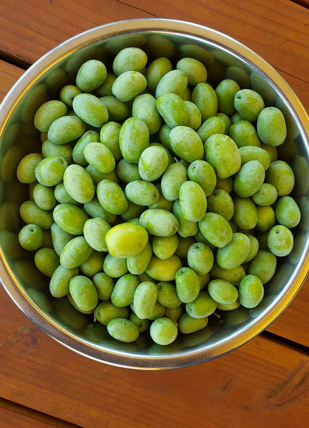 How to Cure Green Olives at Home Curing Green Olives Hank Shaw