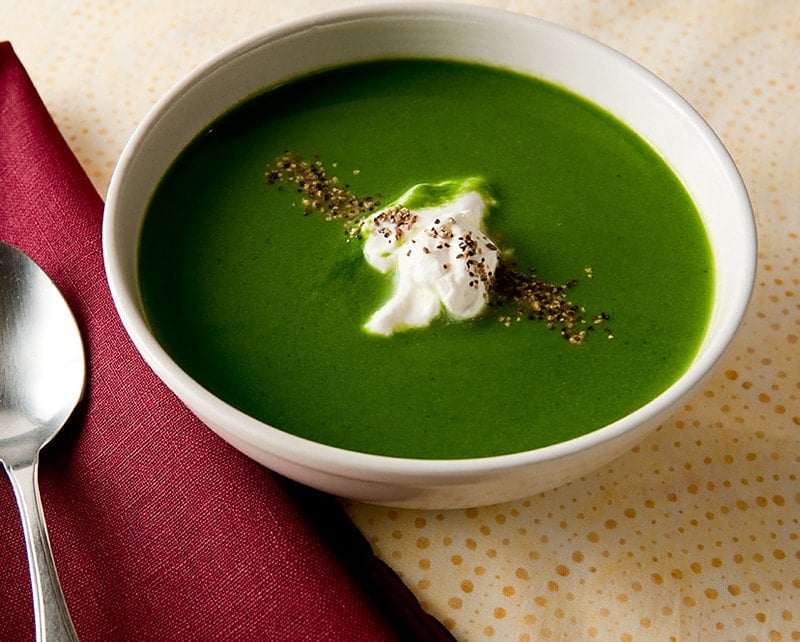 A bowl of nettle soup