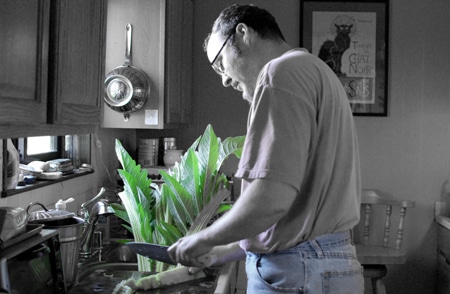 Hank Shaw cleaning cardoons.
