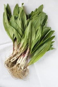 Ramps