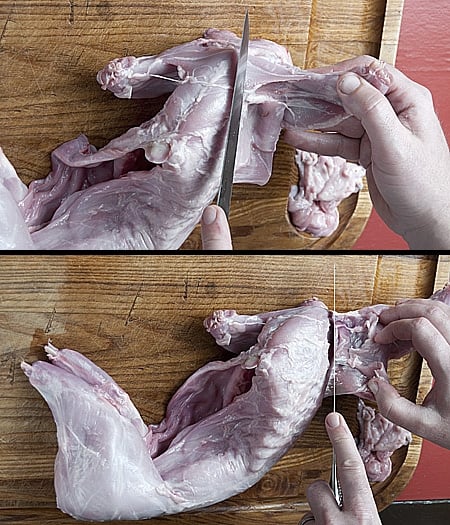 how to cut up a rabbit