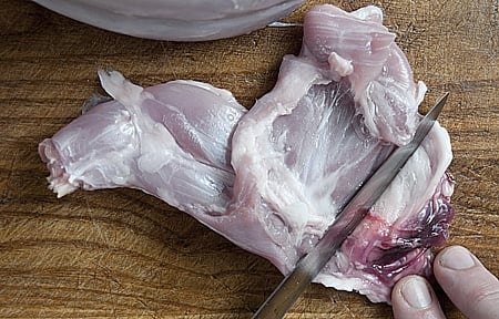 how to butcher a rabbit