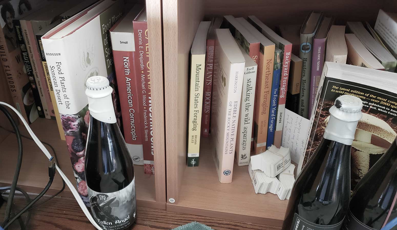Foraging books in a bookcase