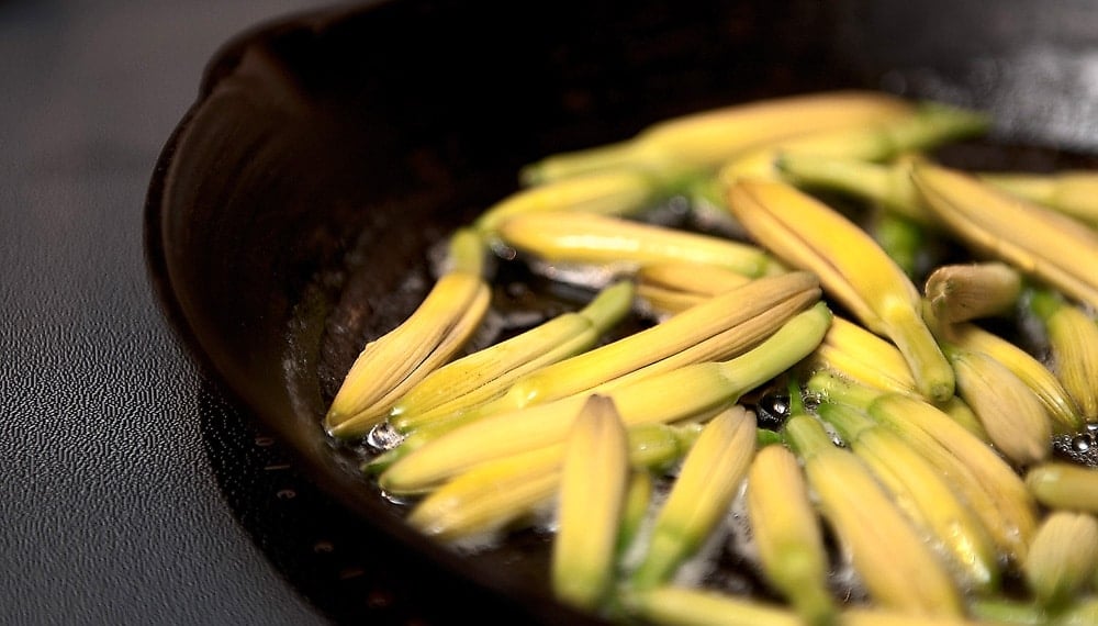 edible daylily buds