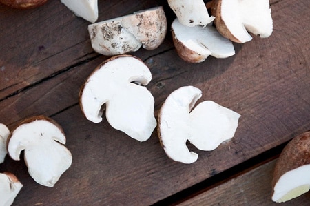 Fresh porcini mushrooms. 