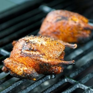 Cajun grilled doves