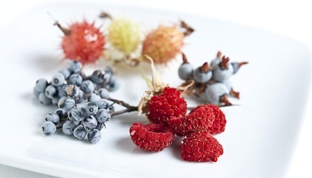 Various berries of the Sierra Nevada on a plate