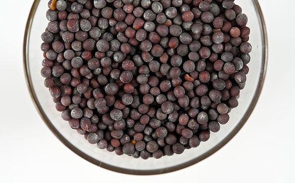 black mustard seeds