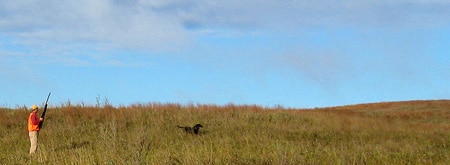 Chris Niskanen hunting sharptail grouse
