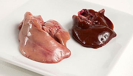 wild duck livers, fatty on left, lean on right