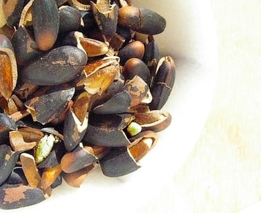 cracked pine nuts