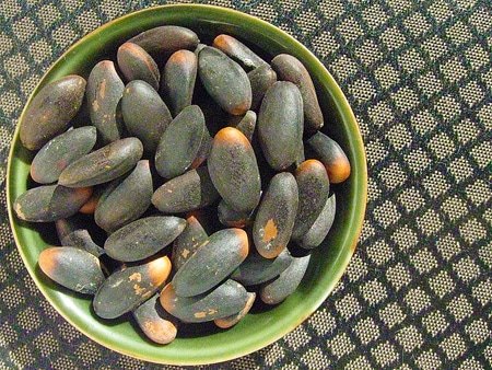 unshelled gray pine nuts