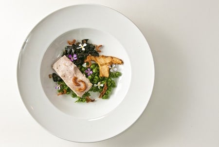 spring pheasant with mushooms in a bowl