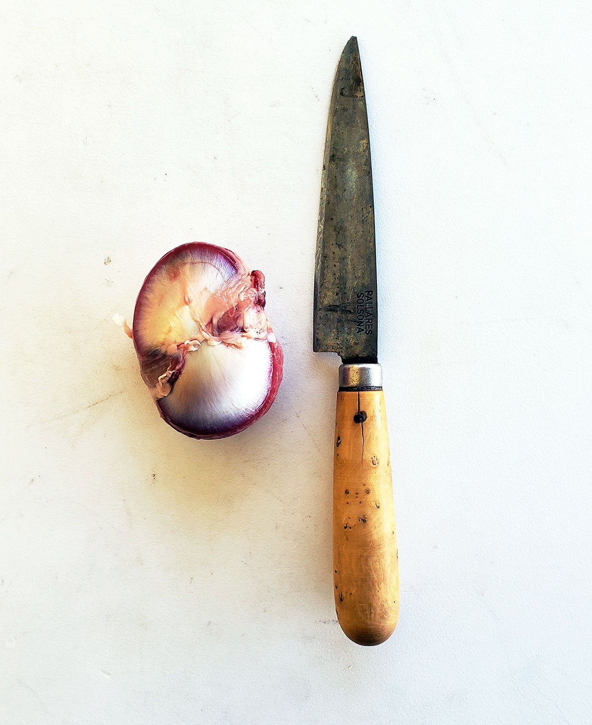 A duck gizzard ready for cleaning