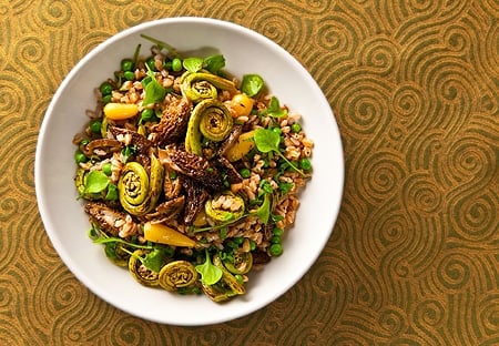 morel salad with fiddleheads and farro