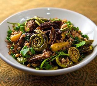 morel mushroom salad recipe