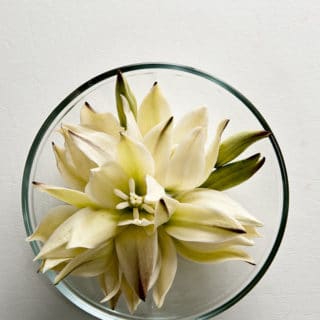 Yucca flowers in a bowl